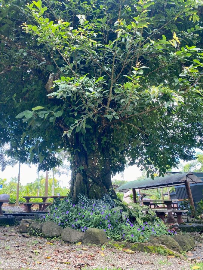 Termales Del Arenal Hotell La Fortuna Eksteriør bilde