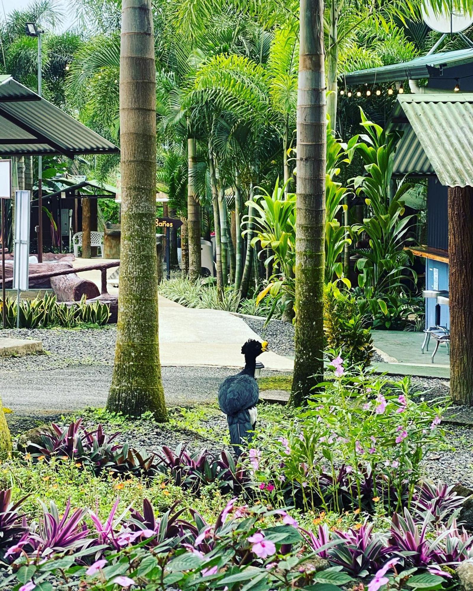 Termales Del Arenal Hotell La Fortuna Eksteriør bilde